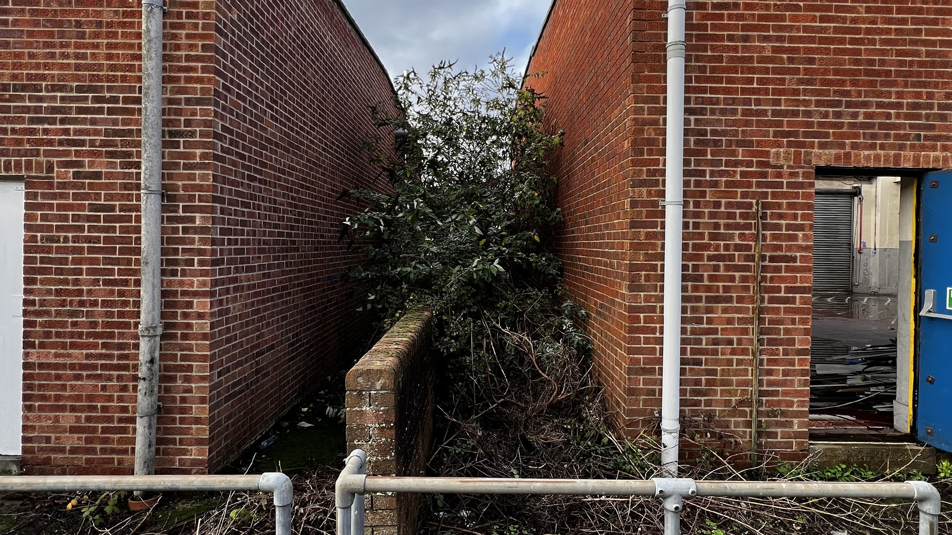 Who Should You Contact First — The Council, a Surveyor, or Your Neighbour Bromley?